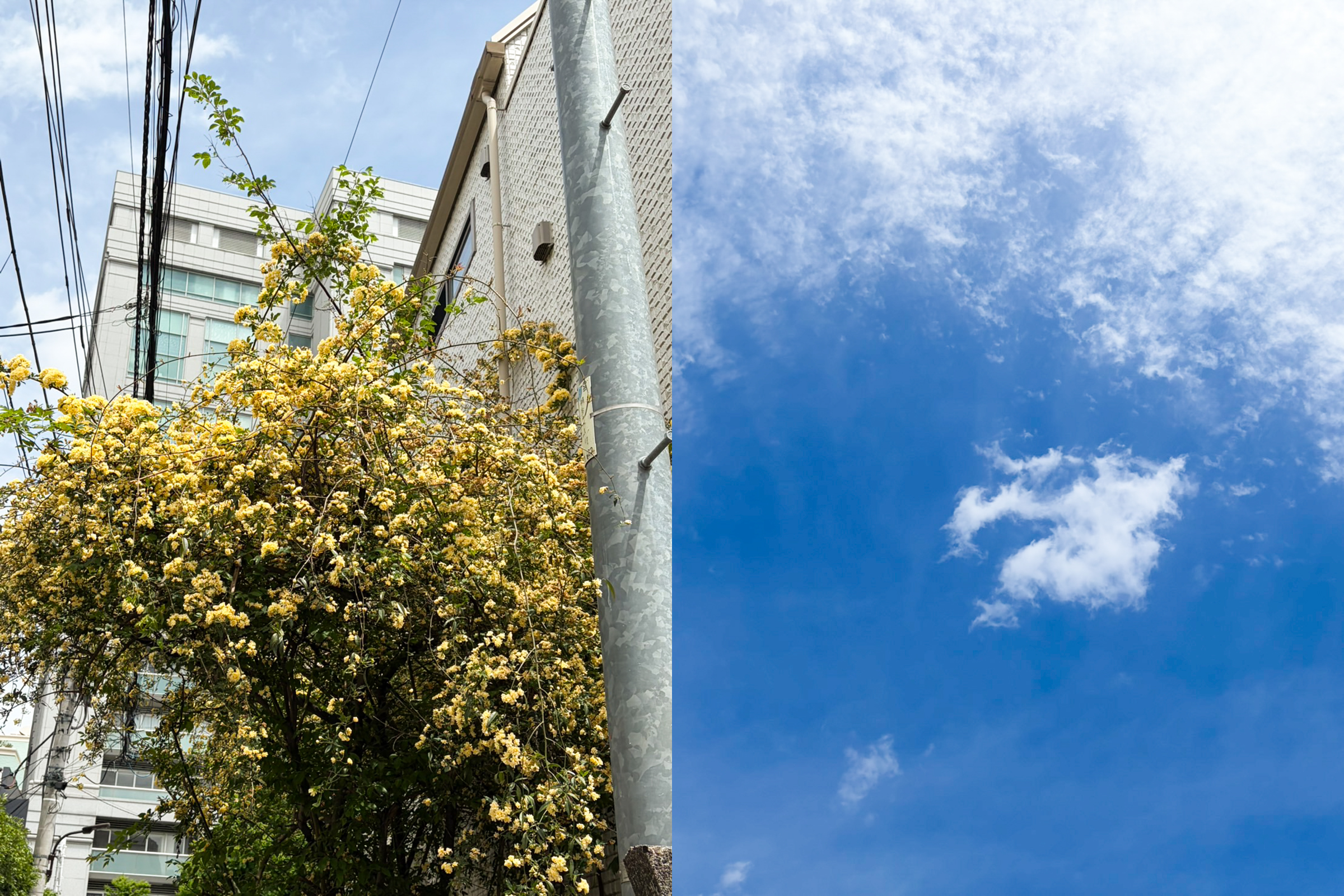 ”GW、遊べる服。”