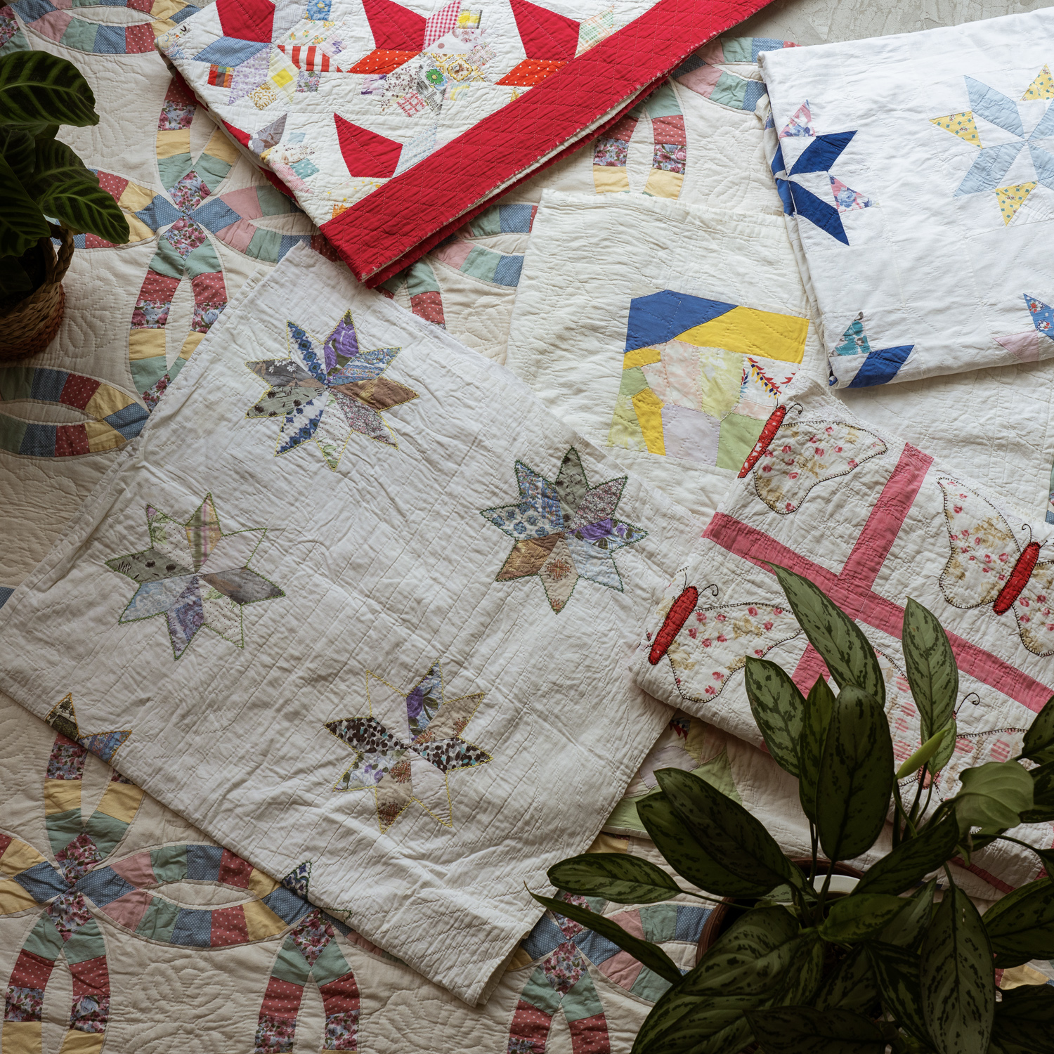 amaleh POPUP STORE