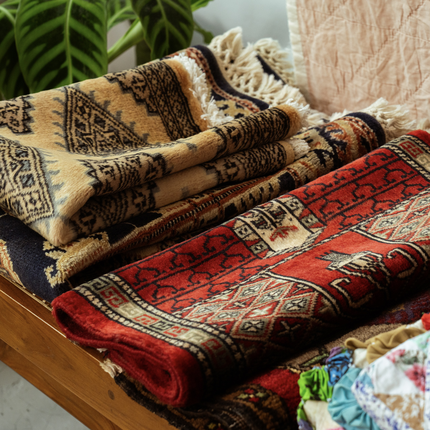 amaleh POPUP STORE